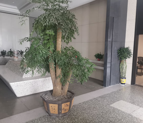 办公环境